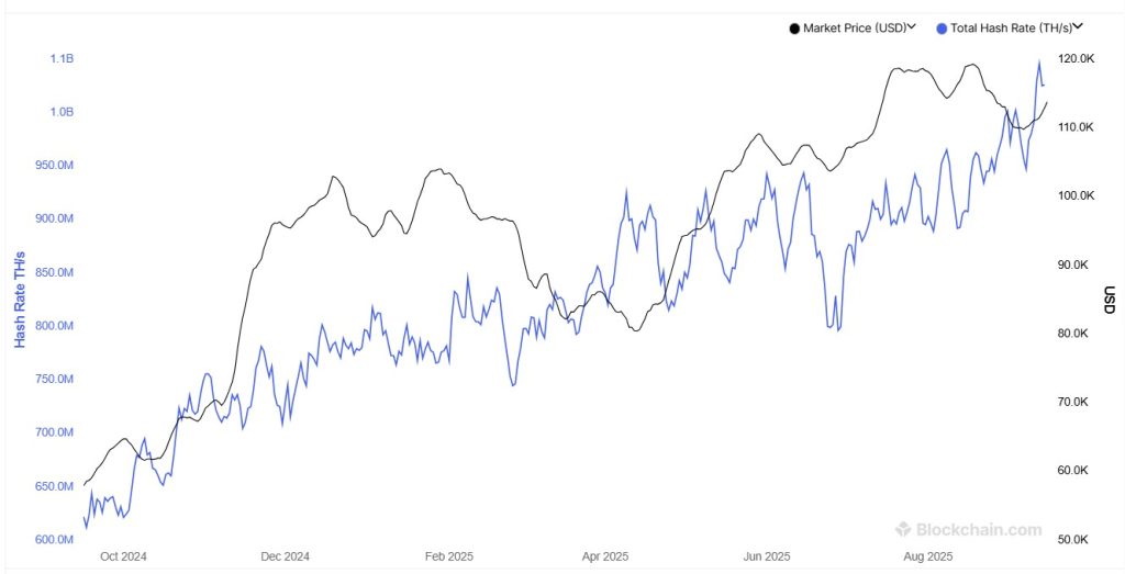 A graph showing the Total Hash Rate for the Bitcoin network over the past 12 months.