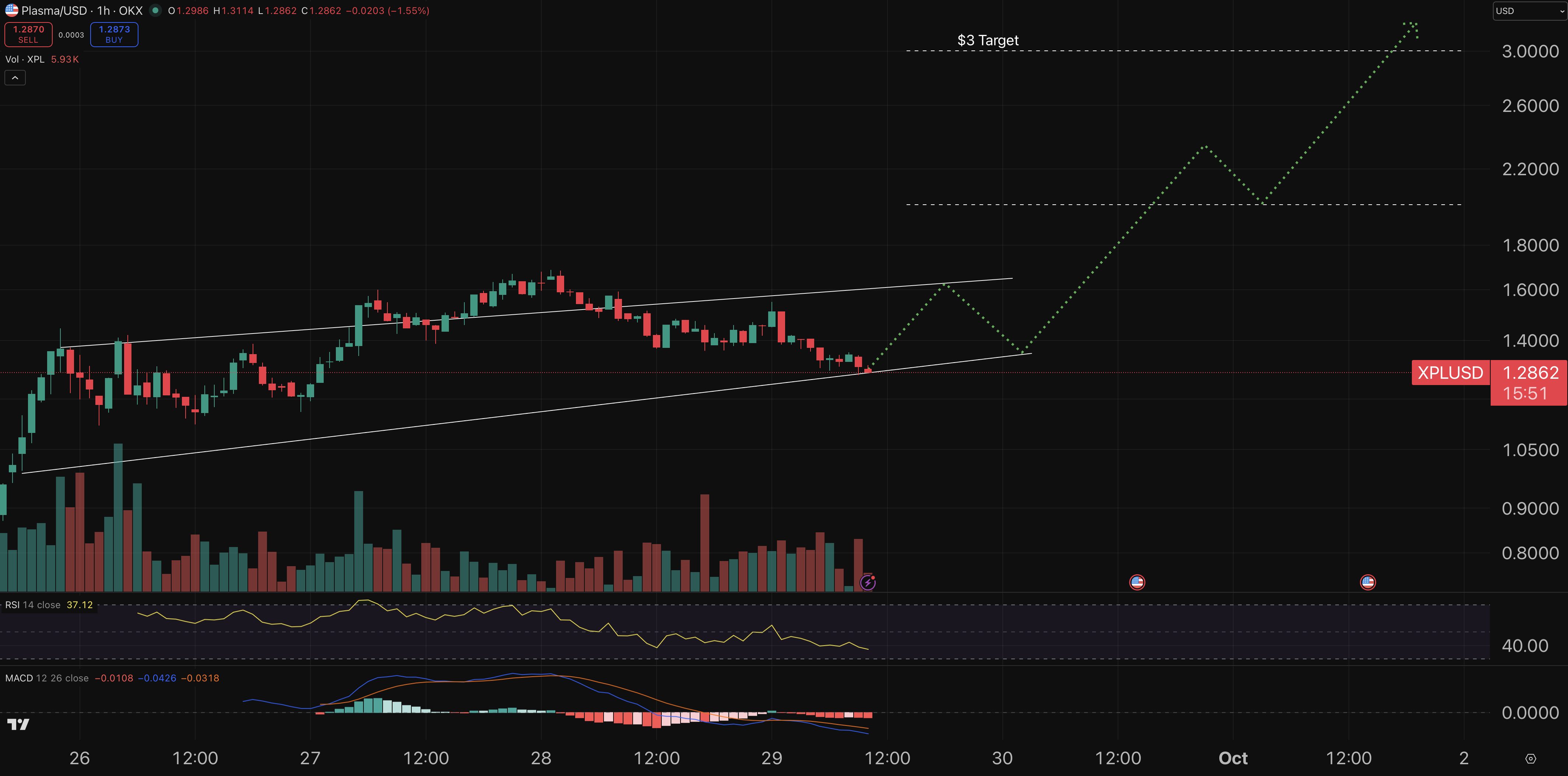 Plasma chart - crypto price prediction.