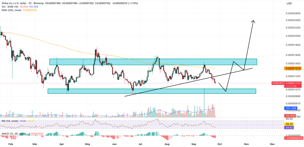 shiba inu price chart
