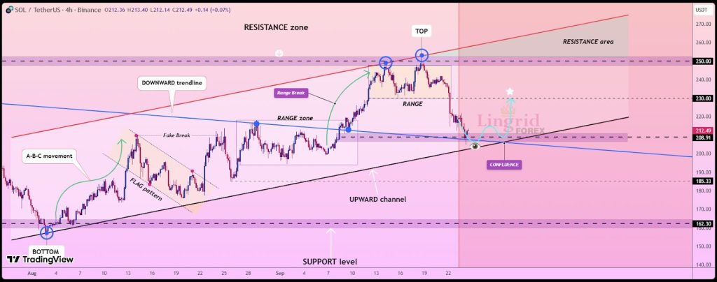 Fitell Corp Commits $100M to Solana Treasury Strategy - Can SOL Reach $300?
