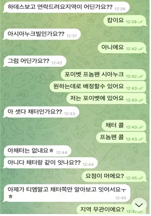 Crypto Romance Scheme - Chat Transcript